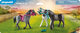 Playmobil World Horse Set de tres piezas Playmobil World Horse Set de tres piezas
