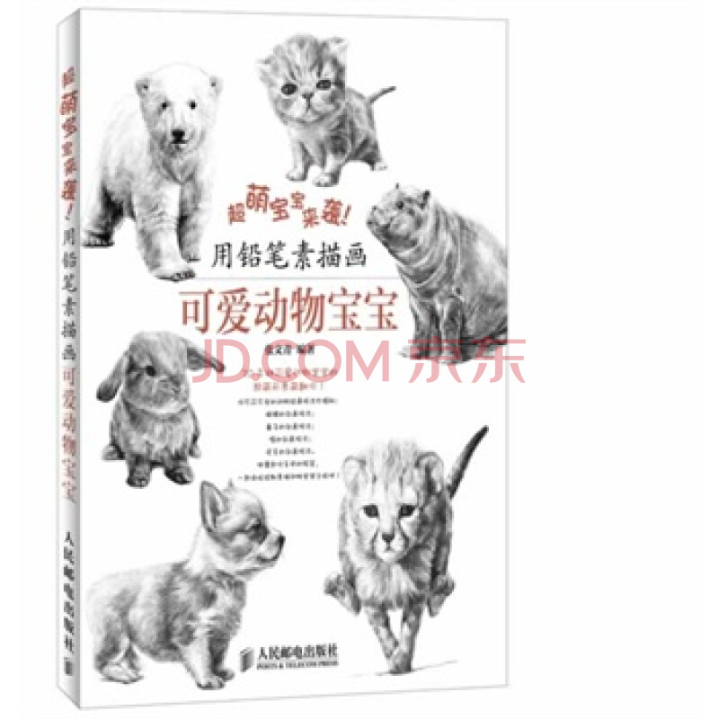 用铅笔素描画可爱动物宝宝