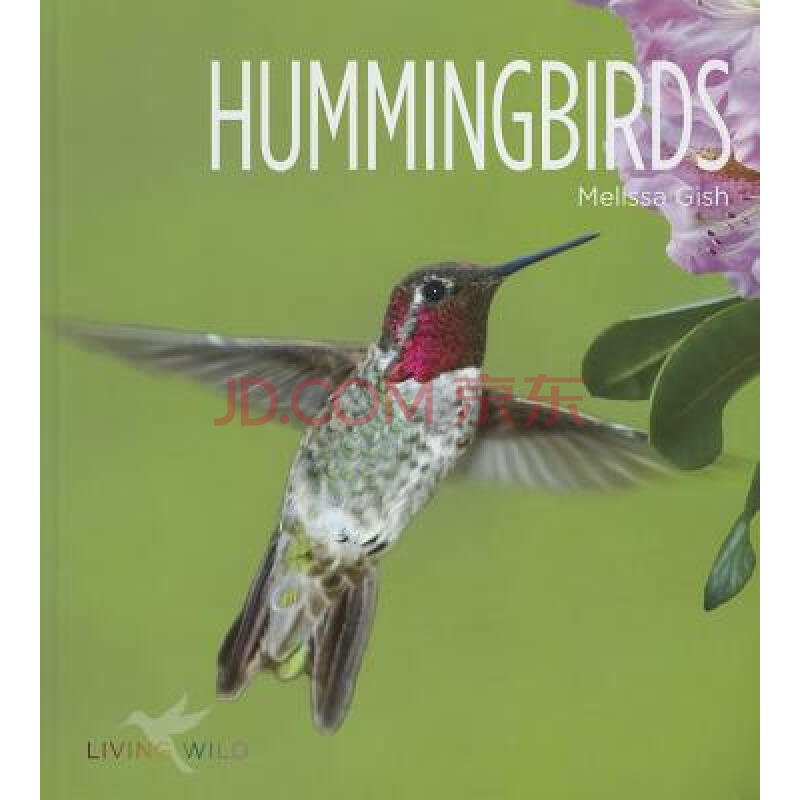 【预订】hummingbirds