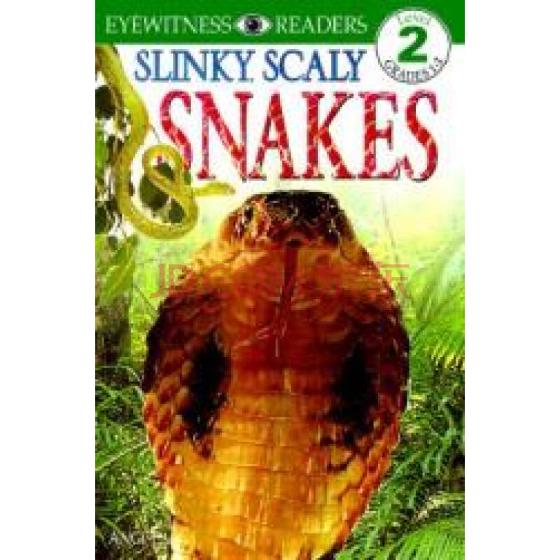 【预订】slinky, scaly snakes!