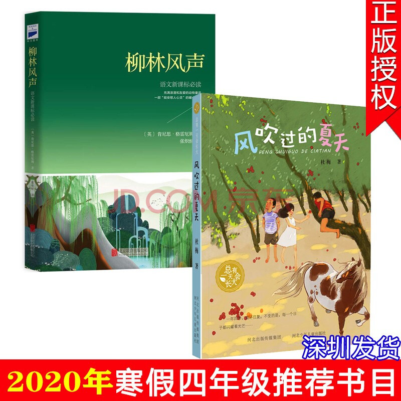 风吹过的夏天深圳罗湖区必读四年级指定全2册儿童文学课外阅读书籍