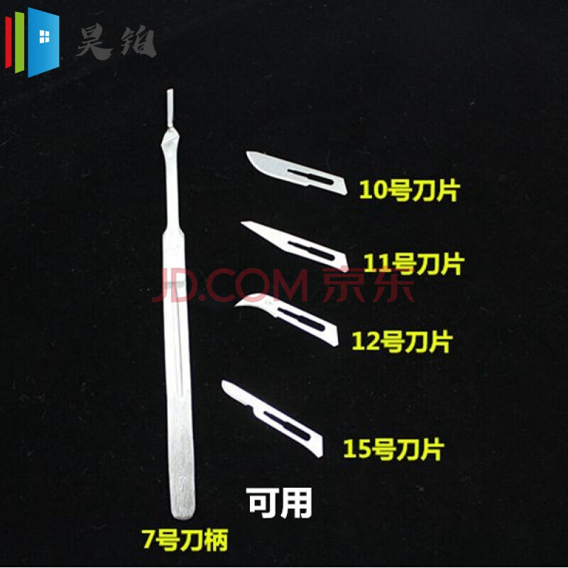 解刨刀生物解剖工具初中教学仪器标本制作学校实验室器材学习工具 7号