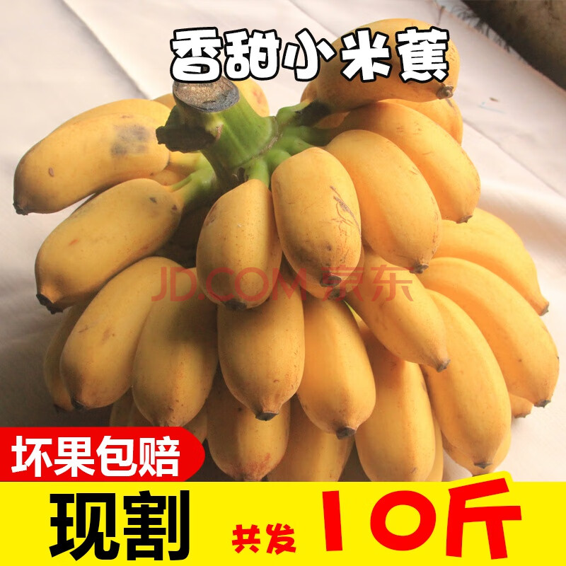 海南新鲜小米蕉带箱10斤香蕉芭蕉banana水果苹果粉蕉