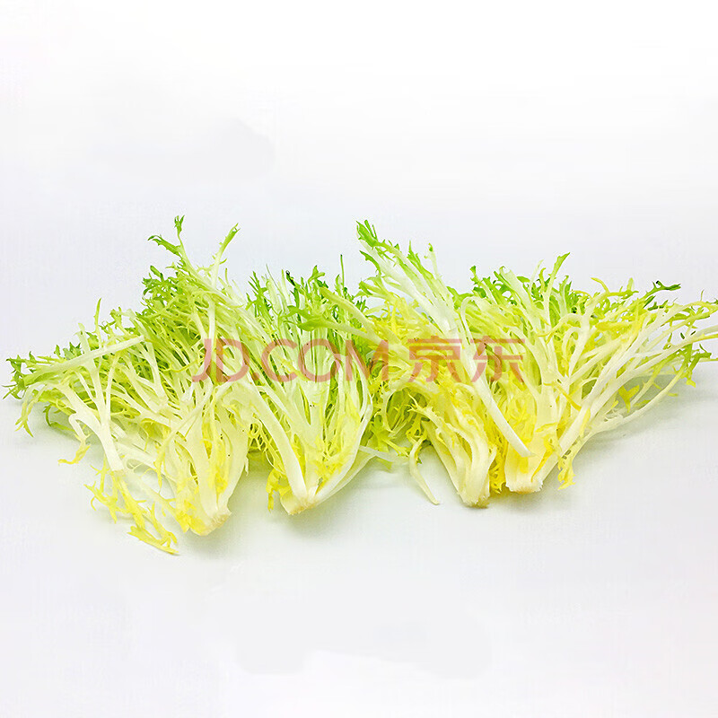 新鲜黄心苦菊 250g 苦叶苦菊生菜 狗牙生菜九芽沙拉蔬菜 250g