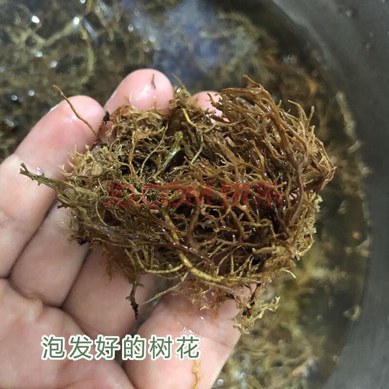 云南特产山珍山货树花扁枝衣菌类干货特色凉拌野菜100g