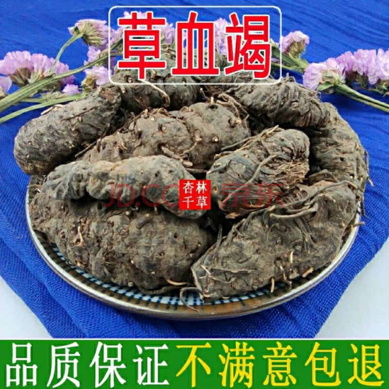 云南野生中药材草血竭 老腰弓 地蜂子 一口血 拳参 100g