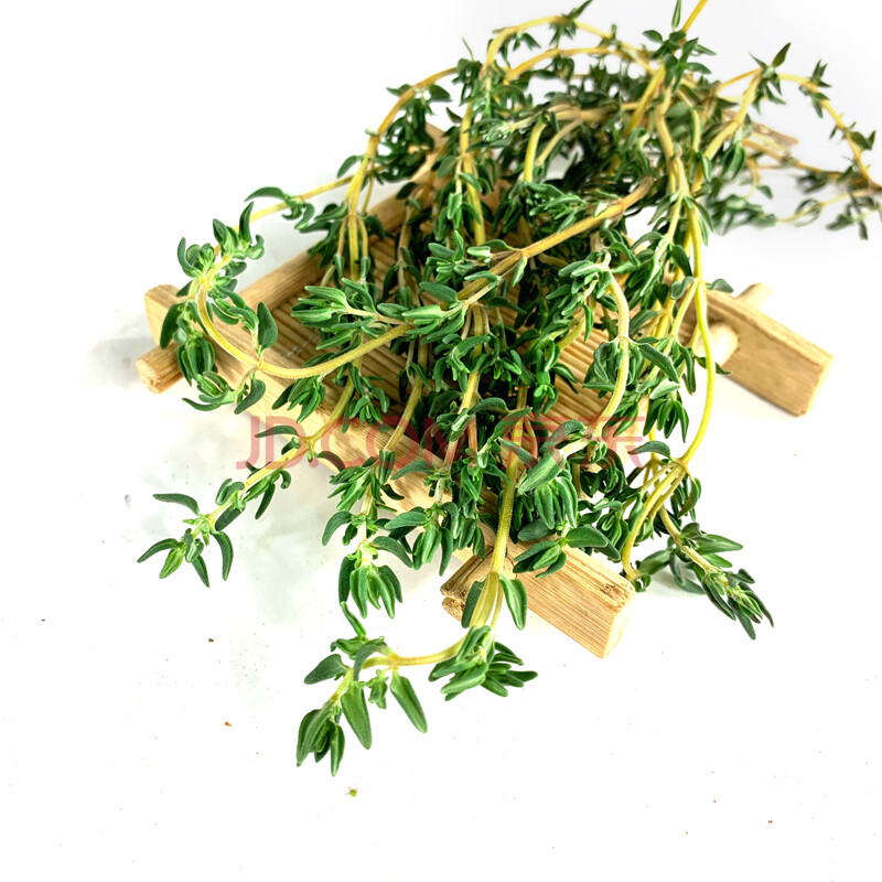 百里香 新鲜香料 麝香草 山胡椒 西餐调料 牛排香料 300g