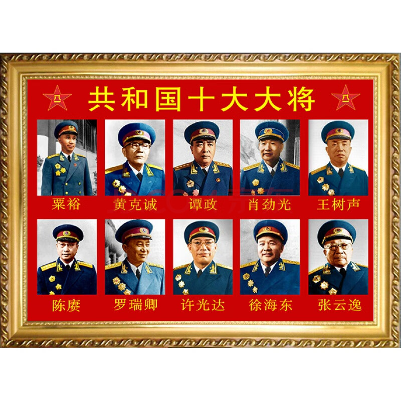 十大元帅挂画伟人十大元帅大将军画像墙壁挂画客厅风水装饰画办公室画