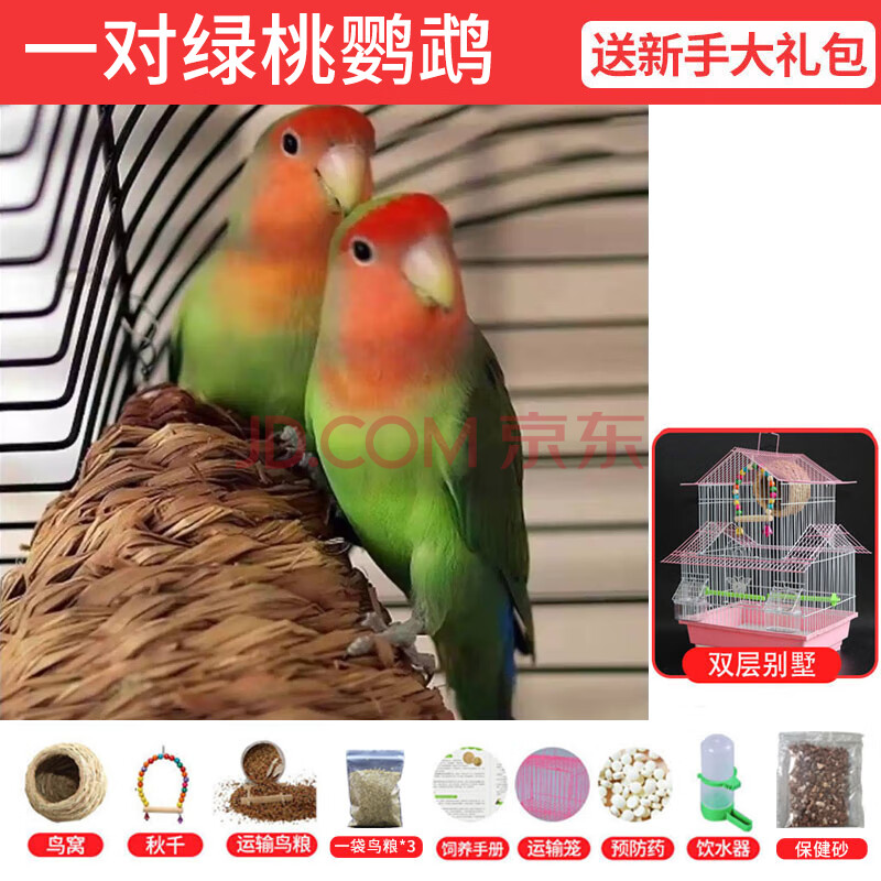 绿桃鹦鹉一对 双层别墅 鸟窝 秋千