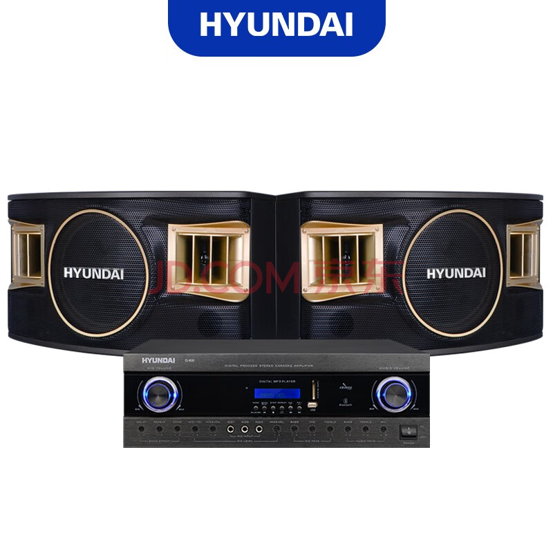 现代(hyundai hy-818 家庭影院音响 10寸专业会议室音响套装家庭ktv