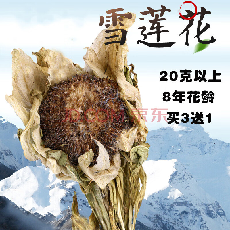 传统滋补 药食同源 伊梵麦 雪莲花天山雪莲花新疆高海拔大花头天山