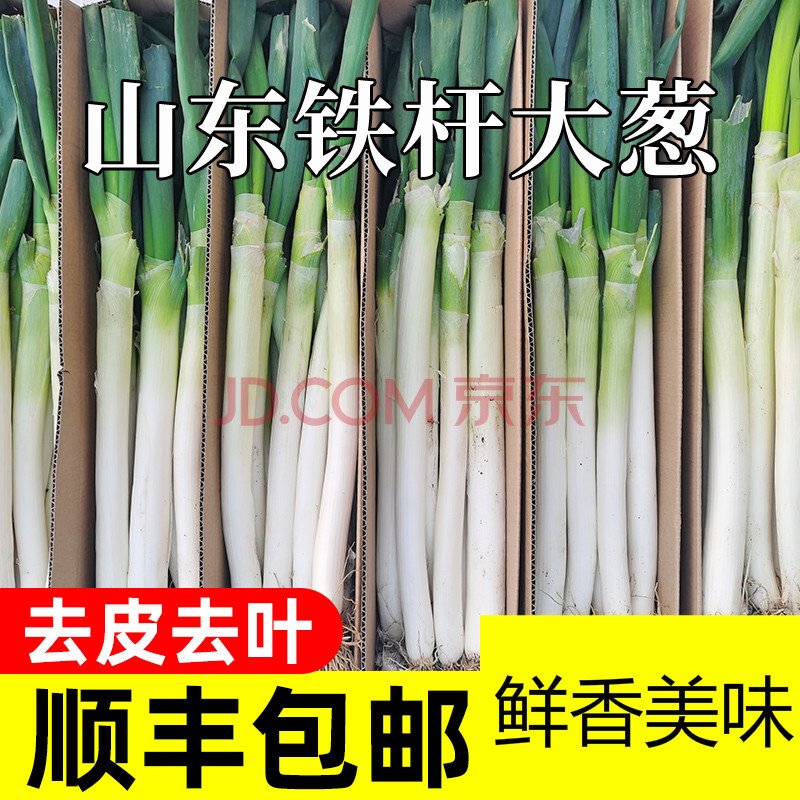 山东大葱新鲜铁杆去叶特产大葱蔬菜新鲜 2500g