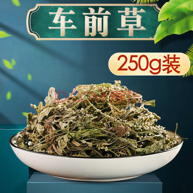 尧虎养生茶饮 车前草车轮菜非同仁堂野生干车前草茶中