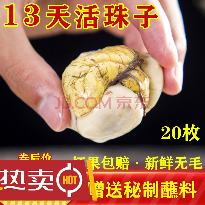 20枚新鲜13天活珠子即食熟食原味14毛蛋钢化蛋毛鸡蛋鸡胚蛋