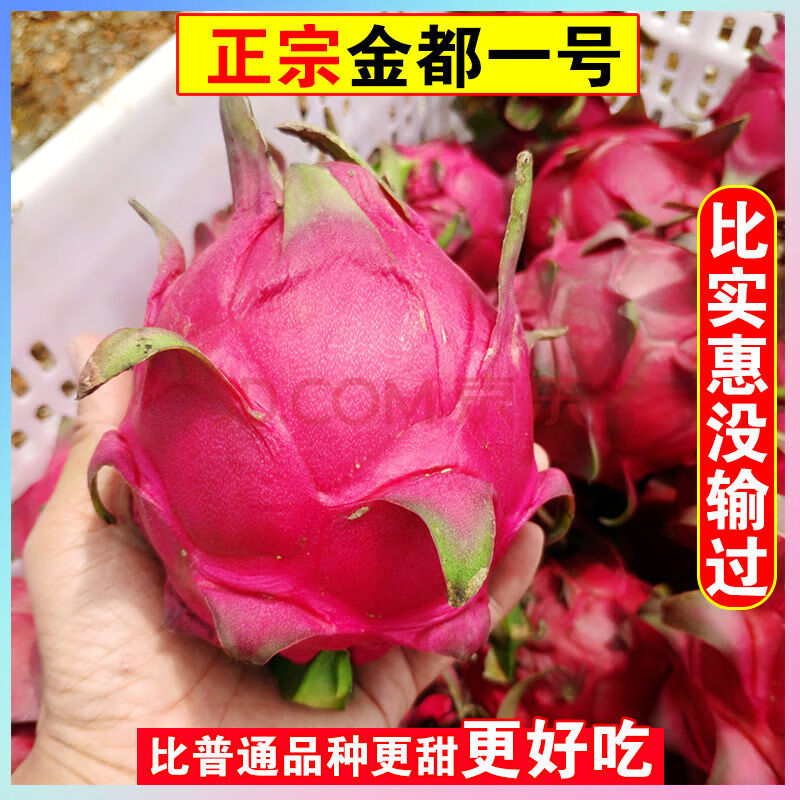 金都一号蜜宝红肉红心火龙果5斤装一整箱新鲜水果批发2斤装 5斤中果(8