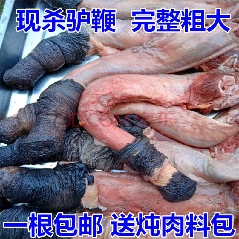 新鲜现杀生驴鞭带蛋整套驴生殖器驴宝男性煲汤食补现杀驴肉 生鲜带蛋