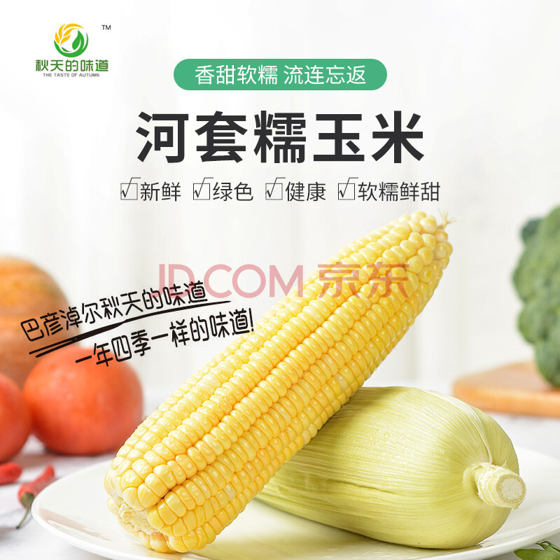 秋天的味道 内蒙古熟玉米河套糯玉米新鲜甜黏玉米真空