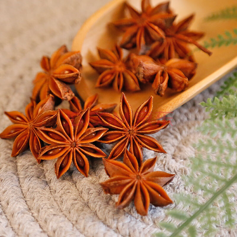 【品优质选】大料100g 茴香卤料八角调料调味品香辛料火锅底料香料