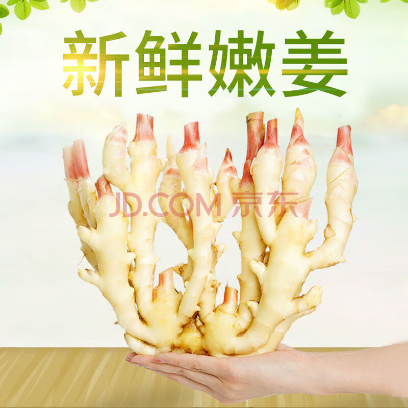 现挖新鲜生姜仔姜子姜嫩姜无姜丝鲜姜芽鲜嫩多汁红芽姜鲜姜老姜芽 3斤
