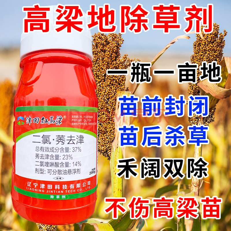 高梁除草剂高梁地苗后专用除草剂安全型禾阔全除封杀双效快速烂根200g