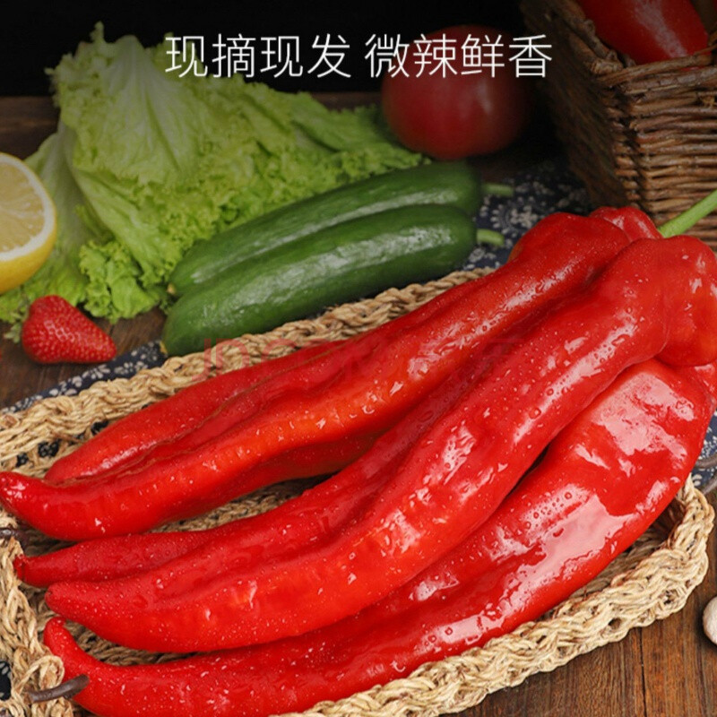 新鲜红辣椒螺丝椒笨尖椒红龙椒香辣剁椒材料新鲜蔬菜现摘现发 红色大