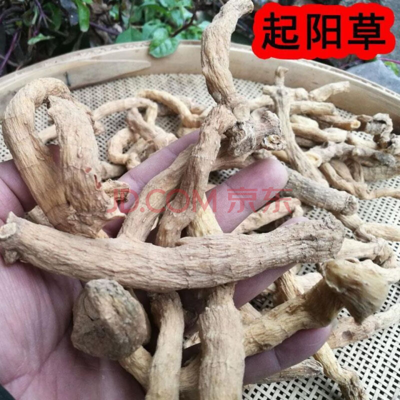 起阳草 500克 新品 起阳草 云南苗家特产 中材 酒料