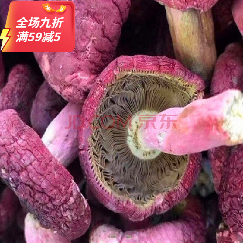 福建三明红菇干货红菇月子红蘑菇香菇菇丁250g 三明尤溪精选大菇头500