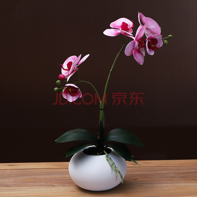 闰土塘仿真花家居餐桌电视柜茶几酒柜摆放花卉陶瓷花瓶蝴蝶兰花套装