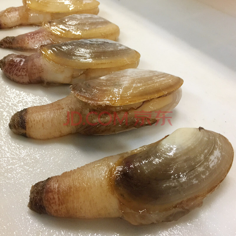 棠鲜生 湛江海鲜小象拔蚌250g新鲜海蚌女神蛤海捕贝类