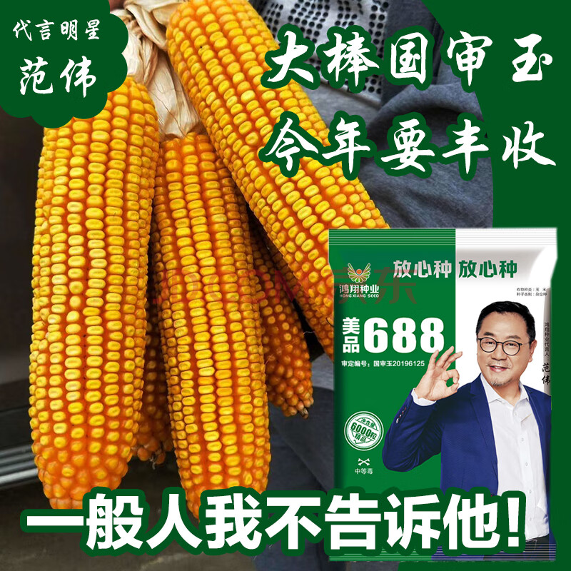 大田玉米种孑抗旱杂交玉米种籽南方超大国审玉米高产 美品688/4000粒