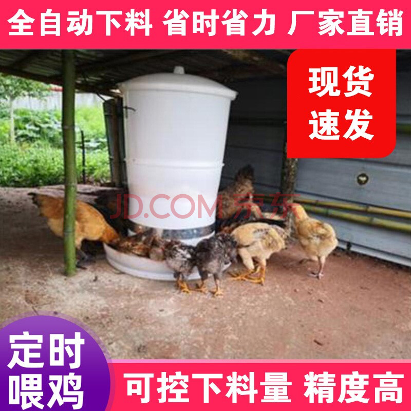 家禽喂食器 养鸡全自动定时喂鸡器投料机神器喂食器鸭鹅养殖户外鸡场