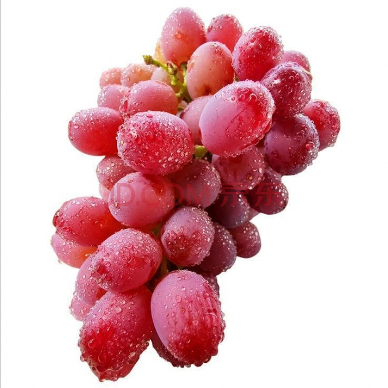 新鲜无籽红提克伦生葡萄应季水果脆甜红宝石红提子孕妇水果 精品4斤装