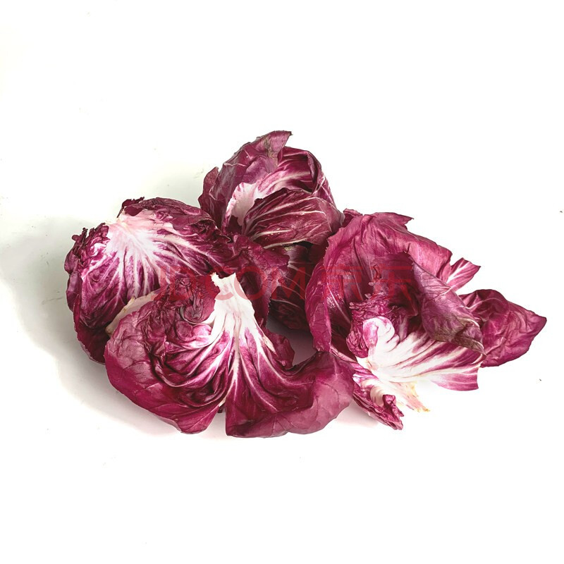 新鲜落地球生菜 紫苣 红菊苣 沙拉 新鲜蔬菜沙拉食材 250g