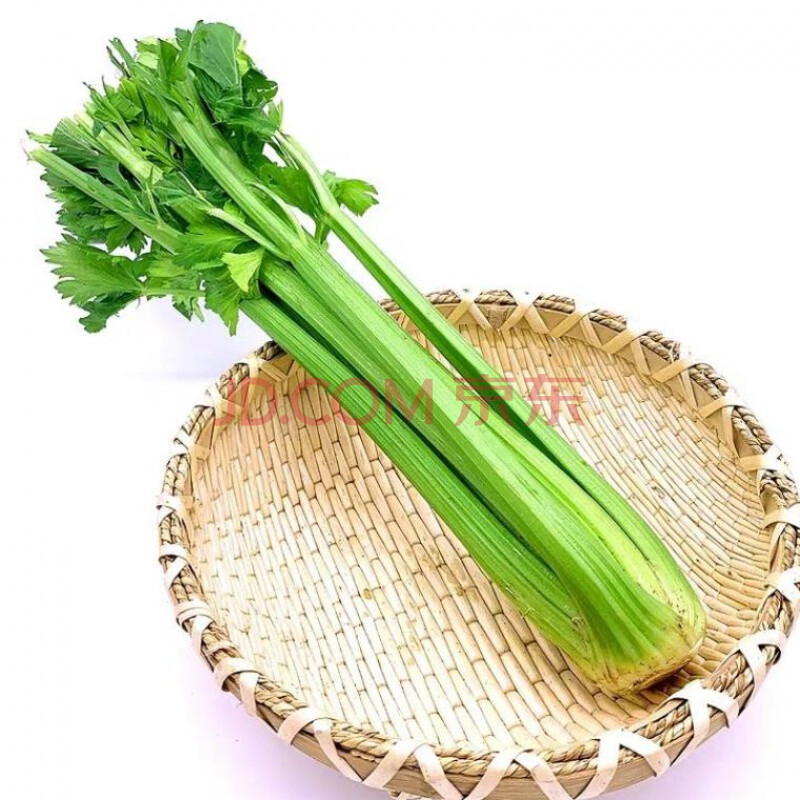 芹菜新鲜榨汁大颗西芹 农家自种嫩芯青菜香芹新鲜蔬菜食用 6斤