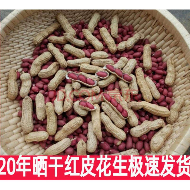 壳现挖湿零食炒熟农家自种子四粒红衣花生 炒熟红皮花生3斤(带壳原味)