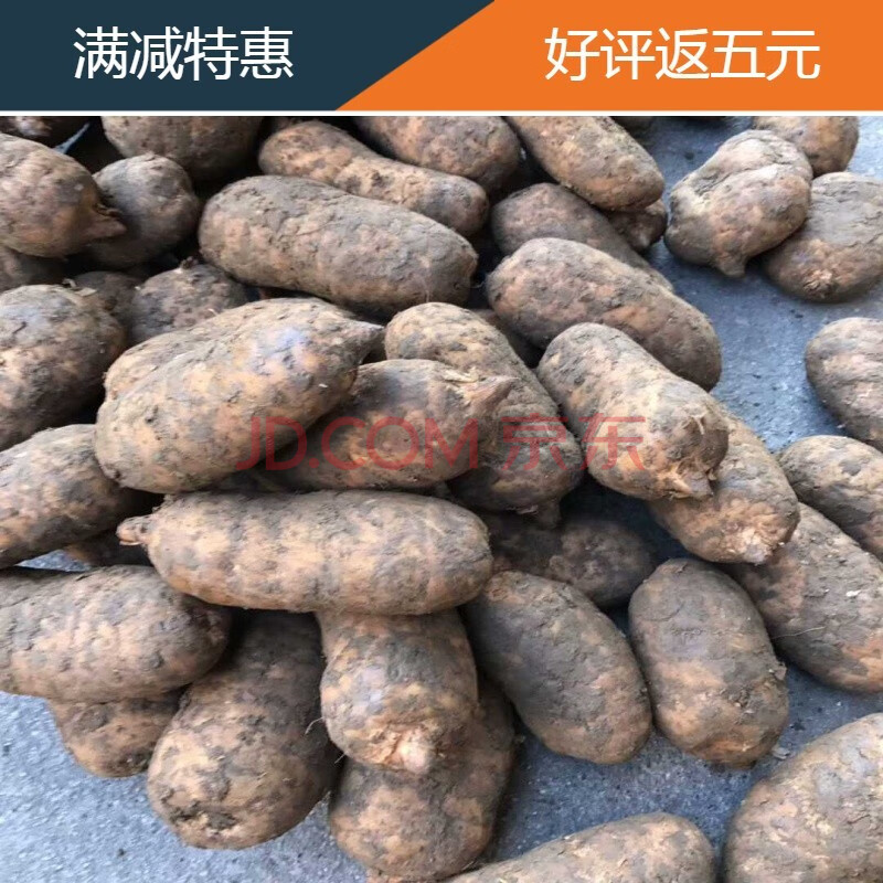 云南鲜天麻云南头疼昭通小草坝天麻多少钱一斤 云南新鲜天麻 -1斤/2-3