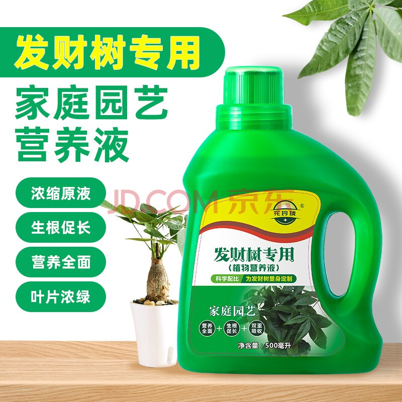 花玲珑 观叶类营养液500ml 发财树龟背竹山乌龟凤尾竹绿萝文竹橡皮树