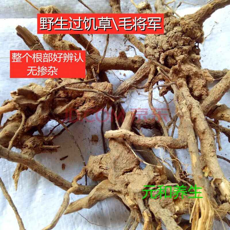 过饥草闽南白毛将军中草土丁桂辛苦草羊耳菊根兔子耳朵一份500g 500克