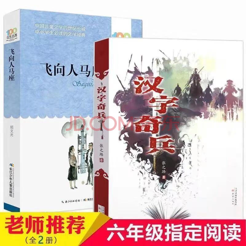 汉字奇兵飞向人马座鲁滨逊漂流记孙小学生五六年级课外必读书 汉字