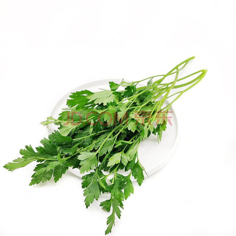 新鲜意大利芹500g 法国香菜欧芹香芹巴西里香西餐食材