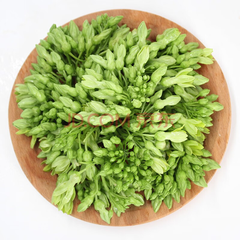 食用夜香花 新鲜月见草 夜来香花 酒店特色菜 顺丰速运 500g