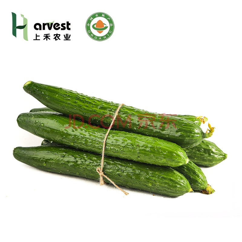上禾硕果 有机水黄瓜1.5kg 黄瓜 新鲜蔬菜 有机蔬菜 产地直发包邮