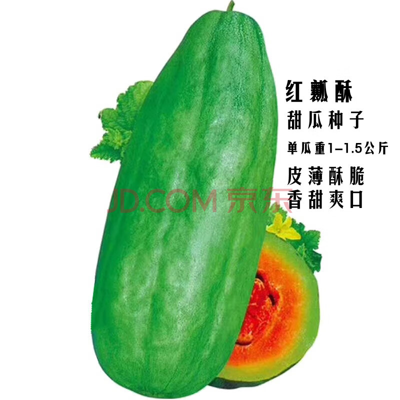 哈密瓜种子 甜瓜种子 菜籽 盆栽蔬菜种子 红瓤酥瓜约50粒(原厂彩包)