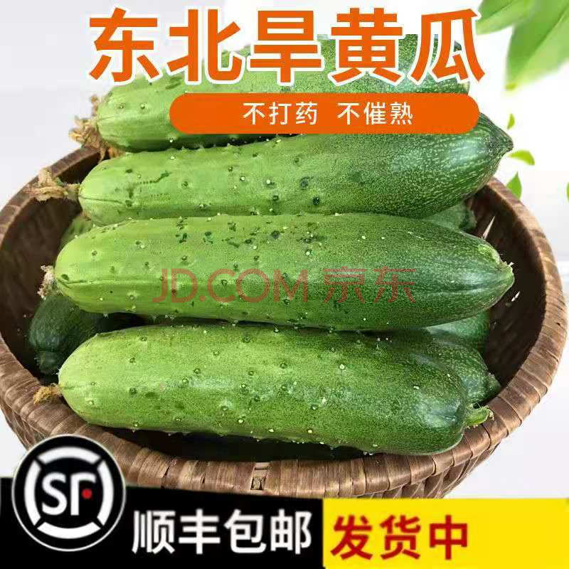 【顺丰发货】东北旱黄瓜 农家自种新鲜蔬菜水果黄瓜 带刺小黄瓜 3斤带