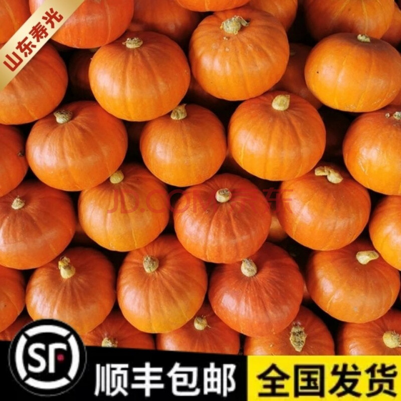 【顺丰】山东红皮南瓜黄金南瓜小金瓜万圣节南瓜红南瓜 精品5斤装