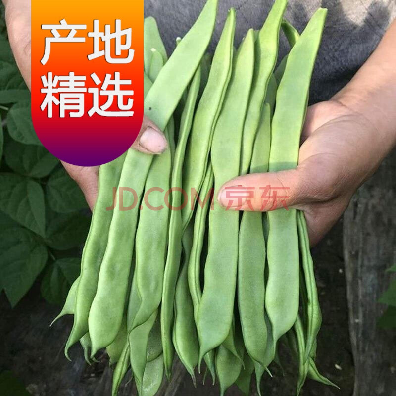 新鲜大扁宽豆角宽芸豆1--5斤装新鲜蔬菜豆角刀豆四季豆扁豆可批发