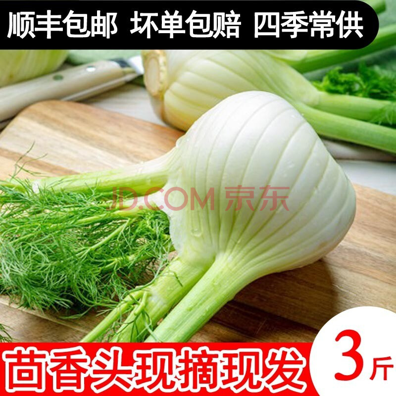 【顺丰】特心鲜 新鲜茴香头 荷兰球茎茴香西餐香料茴香根西餐配菜