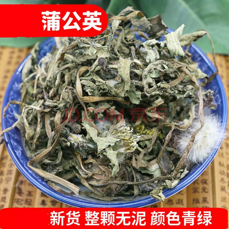 伟博野生蒲公英500g公英茶中药材整颗婆婆丁蒲公英根茶搭玉米须夏枯草