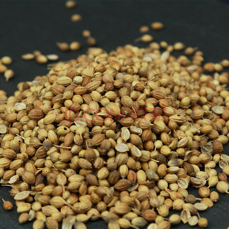 香菜籽 芫荽籽胡荽籽香籽粉烧烤火锅卤肉香料500g克