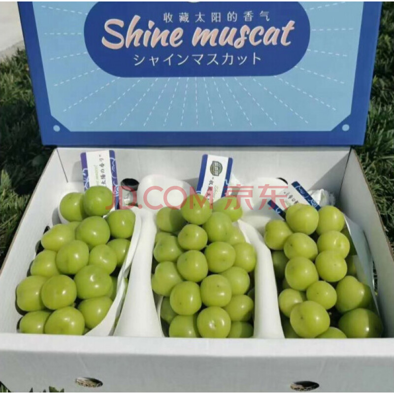出口级特级晴王3串45斤高端礼盒装晴印葡萄香印青提子阳光玫瑰清香